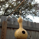 Hung with a dowel rod and stiff wire to help prevent too much swaying in the breeze.